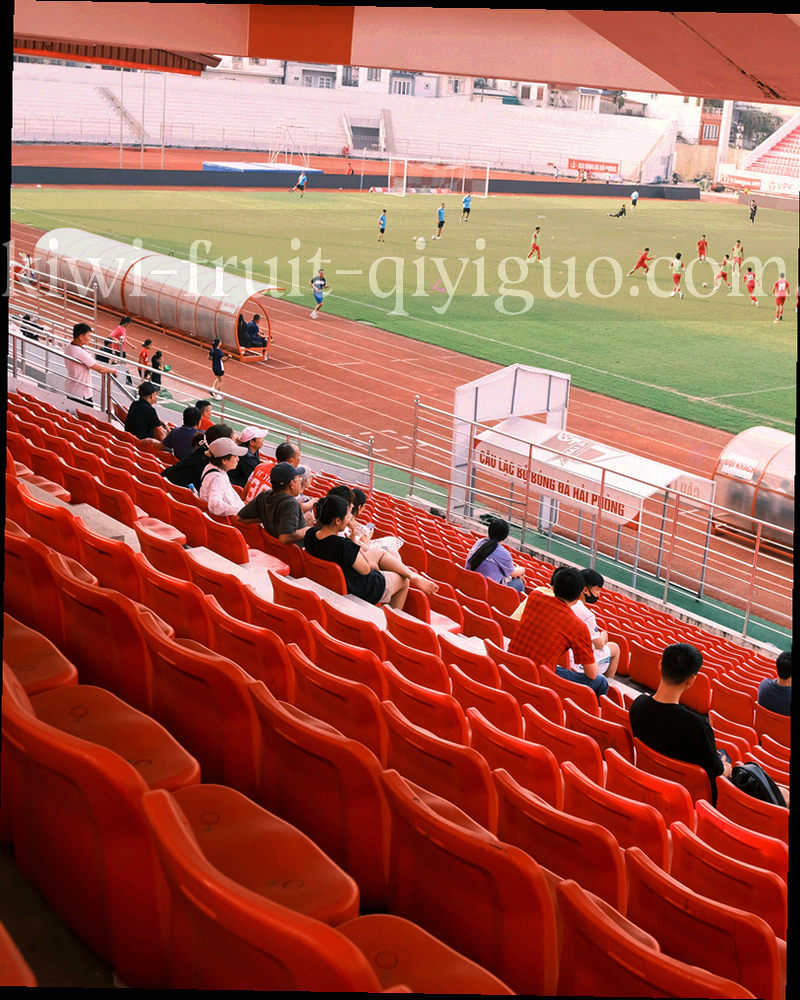 看台栏杆与手举围巾的局部画面，画面中不出现可辨识的人脸